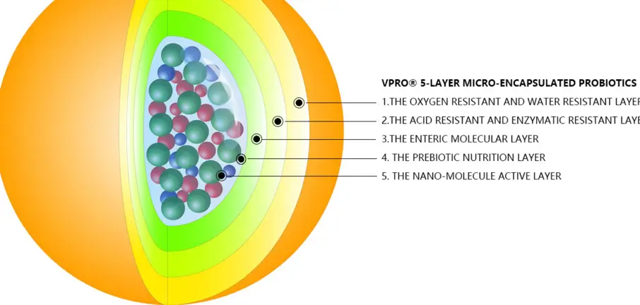 Organic Oasis LAB - Microbiome Therapy 39 g